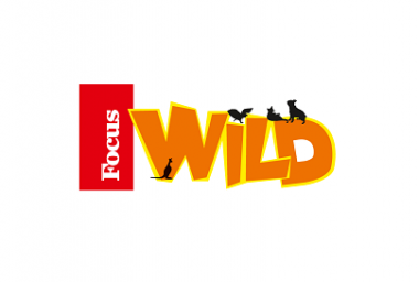 Logo Focus Wild Immagine concessa con licenza CC BY-SA 4.0