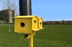 L'apiario urbano di Donna Moderna installato a Milano per la Giornata della Terra 2021.