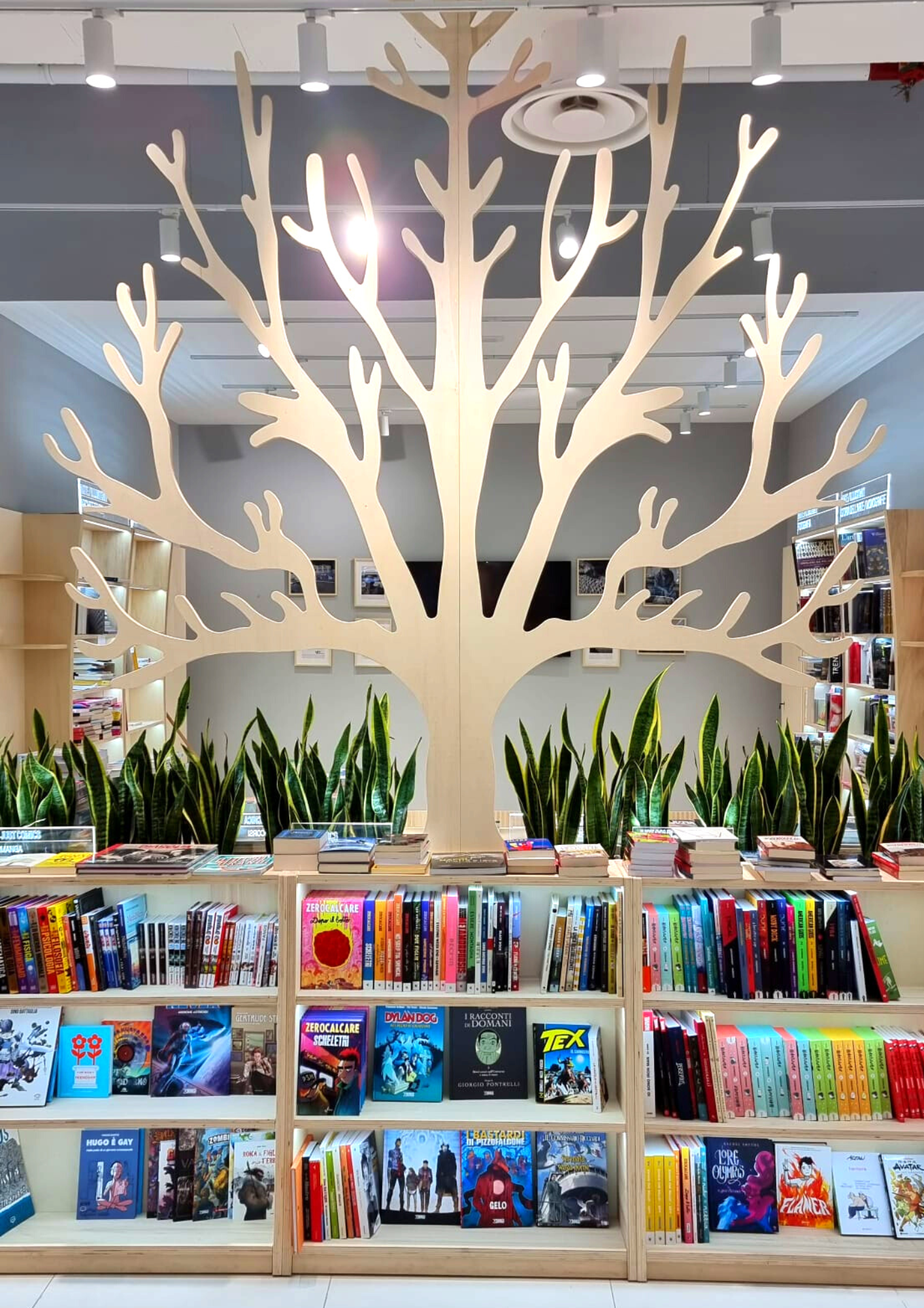 Al centro commerciale Le Cotoniere arriva la nuova libreria Mondadori Bookstore | MA